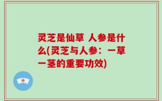灵芝是仙草 人参是什么(灵芝与人参：一草一茎的重要功效)