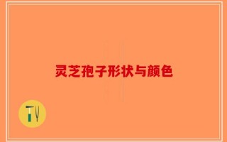 灵芝孢子形状与颜色