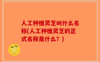 人工种植灵芝叫什么名称(人工种植灵芝的正式名称是什么？)