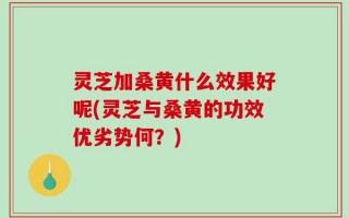 灵芝加桑黄什么效果好呢(灵芝与桑黄的功效优劣势何？)