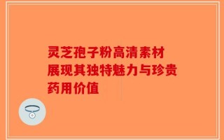 灵芝孢子粉高清素材 展现其独特魅力与珍贵药用价值