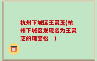 杭州下城区王灵芝(杭州下城区发现名为王灵芝的瑰宝松　)