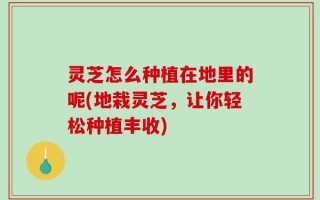 灵芝怎么种植在地里的呢(地栽灵芝，让你轻松种植丰收)