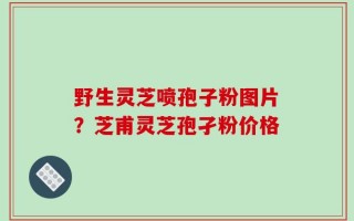 野生灵芝喷孢子粉图片？芝甫灵芝孢孑粉价格