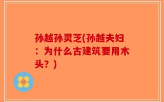 孙越孙灵芝(孙越夫妇：为什么古建筑要用木头？)