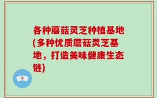 各种蘑菇灵芝种植基地(多种优质蘑菇灵芝基地，打造美味健康生态链)