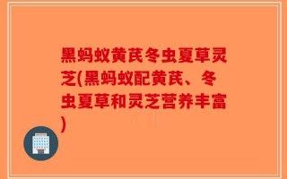 黑蚂蚁黄芪冬虫夏草灵芝(黑蚂蚁配黄芪、冬虫夏草和灵芝营养丰富)