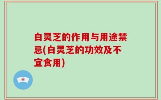 白灵芝的作用与用途禁忌(白灵芝的功效及不宜食用)