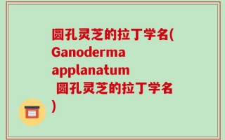 圆孔灵芝的拉丁学名(Ganoderma applanatum 圆孔灵芝的拉丁学名)