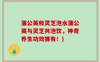 蒲公英和灵芝泡水蒲公英与灵芝共泡饮，神奇养生功效拥有！)