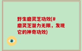 野生磨灵芝功效(# 磨灵芝潜力无限，发现它的神奇功效)