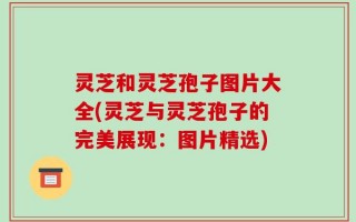 灵芝和灵芝孢子图片大全(灵芝与灵芝孢子的完美展现：图片精选)