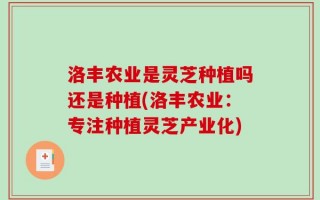 洛丰农业是灵芝种植吗还是种植(洛丰农业：专注种植灵芝产业化)
