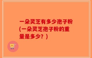 一朵灵芝有多少孢子粉(一朵灵芝孢子粉的重量是多少？)