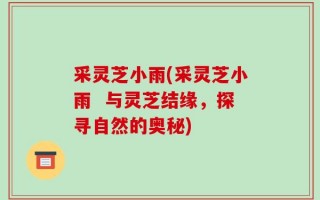 采灵芝小雨(采灵芝小雨  与灵芝结缘，探寻自然的奥秘)