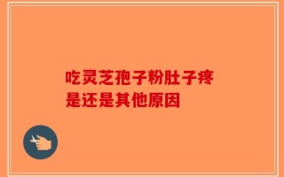 吃灵芝孢子粉肚子疼 是还是其他原因