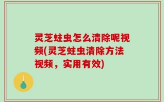 灵芝蛀虫怎么清除呢视频(灵芝蛀虫清除方法视频，实用有效)