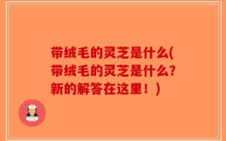带绒毛的灵芝是什么(带绒毛的灵芝是什么？新的解答在这里！)