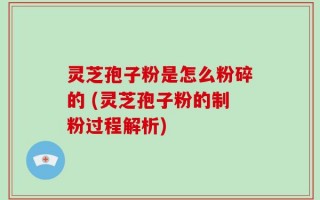 灵芝孢子粉是怎么粉碎的 (灵芝孢子粉的制粉过程解析)