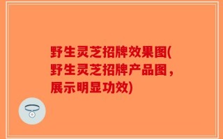 野生灵芝招牌效果图(野生灵芝招牌产品图，展示明显功效)