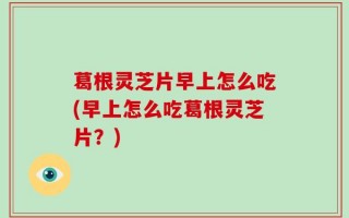 葛根灵芝片早上怎么吃(早上怎么吃葛根灵芝片？)