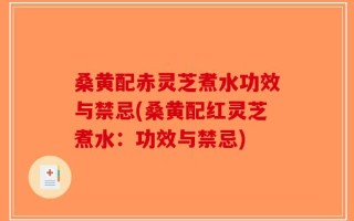 桑黄配赤灵芝煮水功效与禁忌(桑黄配红灵芝煮水：功效与禁忌)
