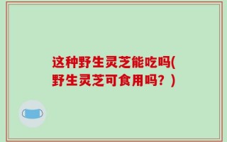 这种野生灵芝能吃吗(野生灵芝可食用吗？)