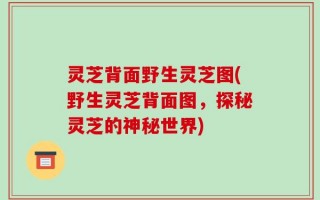 灵芝背面野生灵芝图(野生灵芝背面图，探秘灵芝的神秘世界)