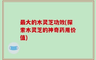 最大的木灵芝功效(探索木灵芝的神奇药用价值)