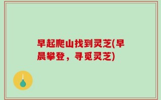 早起爬山找到灵芝(早晨攀登，寻觅灵芝)