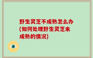 野生灵芝不成熟怎么办(如何处理野生灵芝未成熟的情况)