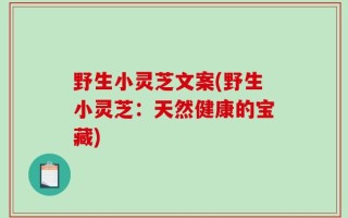野生小灵芝文案(野生小灵芝：天然健康的宝藏)