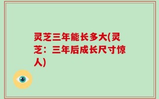 灵芝三年能长多大(灵芝：三年后成长尺寸惊人)