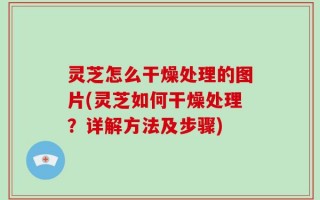 灵芝怎么干燥处理的图片(灵芝如何干燥处理？详解方法及步骤)