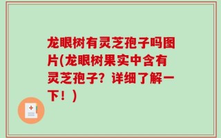 龙眼树有灵芝孢子吗图片(龙眼树果实中含有灵芝孢子？详细了解一下！)