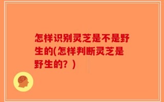怎样识别灵芝是不是野生的(怎样判断灵芝是野生的？)