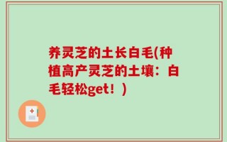 养灵芝的土长白毛(种植高产灵芝的土壤：白毛轻松get！)