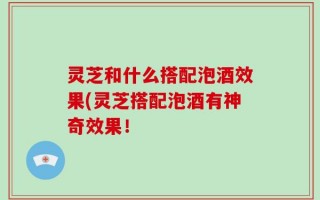 灵芝和什么搭配泡酒效果(灵芝搭配泡酒有神奇效果！