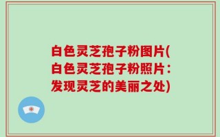 白色灵芝孢子粉图片(白色灵芝孢子粉照片：发现灵芝的美丽之处)