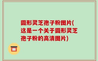 圆形灵芝孢子粉图片(这是一个关于圆形灵芝孢子粉的高清图片)
