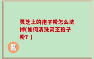 灵芝上的孢子粉怎么洗掉(如何清洗灵芝孢子粉？)