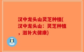汉中龙头山灵芝种植(汉中龙头山：灵芝种植，滋补大健康)