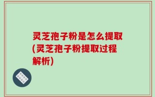 灵芝孢子粉是怎么提取(灵芝孢子粉提取过程解析)