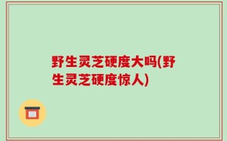 野生灵芝硬度大吗(野生灵芝硬度惊人)
