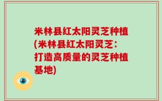 米林县红太阳灵芝种植(米林县红太阳灵芝：打造高质量的灵芝种植基地)