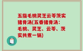 五指毛桃灵芝云苓茨实猪骨汤(五香猪骨汤：毛桃、灵芝、云苓、茨实共煮一锅)