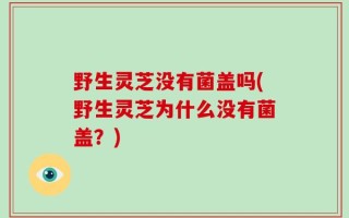 野生灵芝没有菌盖吗(野生灵芝为什么没有菌盖？)