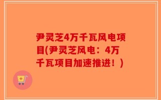 尹灵芝4万千瓦风电项目(尹灵芝风电：4万千瓦项目加速推进！)