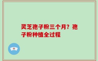 灵芝孢子粉三个月？孢子粉种植全过程