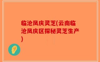 临沧凤庆灵芝(云南临沧凤庆区探秘灵芝生产)